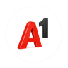 A1