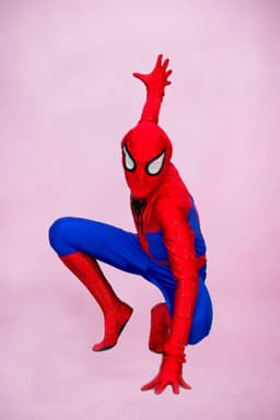 Человек паук — миниатюра фото 1