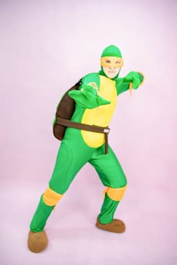 Черепашки Ниндзя — миниатюра фото 1